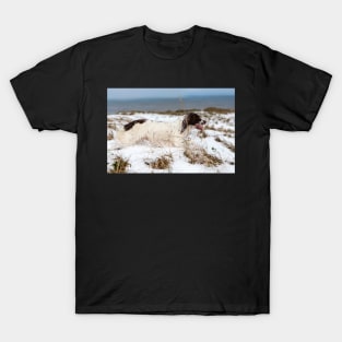 English Springer spaniel T-Shirt